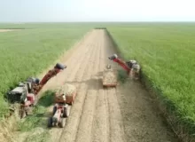 صنایع پایین‌دستی با ورود نیشکر به «بازار سرمایه» رونق می‌گیرد