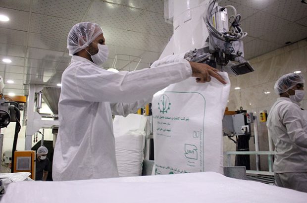 امسال رکورد تولید شکر شکسته میشود