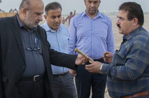 امسال کام مردم با تحقق رشد تولید، شیرین