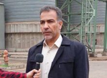 تولید خوراک دام از بقایای نیشکر، راهی برای تأمین گوشت قرمز