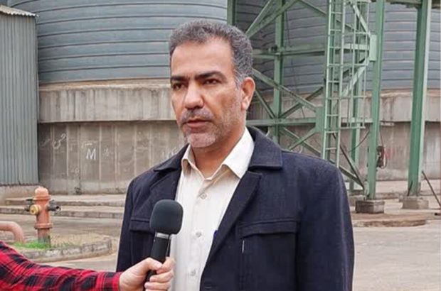 تولید خوراک دام از بقایای نیشکر، راهی برای تأمین گوشت قرمز