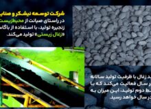 «زغال زیستی» از باگاس نیشکر تولید شد