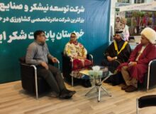 نیشکر؛ تمام‌قد در کنار مردم روستا