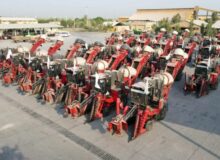 نیشکری‌ها با آمادگی کامل به استقبال «فصل برداشت» رفتند